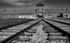 Hitler’in kurbanları Türk soylu muydu?