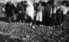 Sözde Ermeni Soykırımı İddialarına Hollanda’dan Tarihi Belge