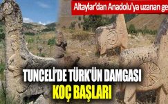 Altaylar’dan Anadolu’ya… Tunceli’de Türk’ün damgası: Koç başları
