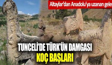 Altaylar’dan Anadolu’ya… Tunceli’de Türk’ün damgası: Koç başları