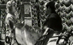 Nazım Hikmet, Bursa ve Sinema
