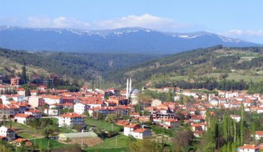 Canip Haraççıoğlu ve Bursa İl Genel Meclisi Zabıtları