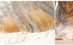 İspanya’da 7.500 Yıllık Bal Toplayan İnsanların Mağara Resmi Bulundu