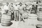 Mutlu-Nilüfer Şarap Fabrikasında Üzümün Şaraba Dönüşüm Hikayesi