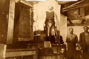 Tirilye’de Taş Baskı Zeytinyağı Üretimi