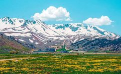 İçine Üç Elma Koy – Amma!…