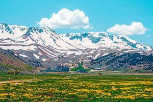 İçine Üç Elma Koy – Amma!…