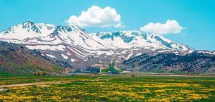 İçine Üç Elma Koy – Amma!…