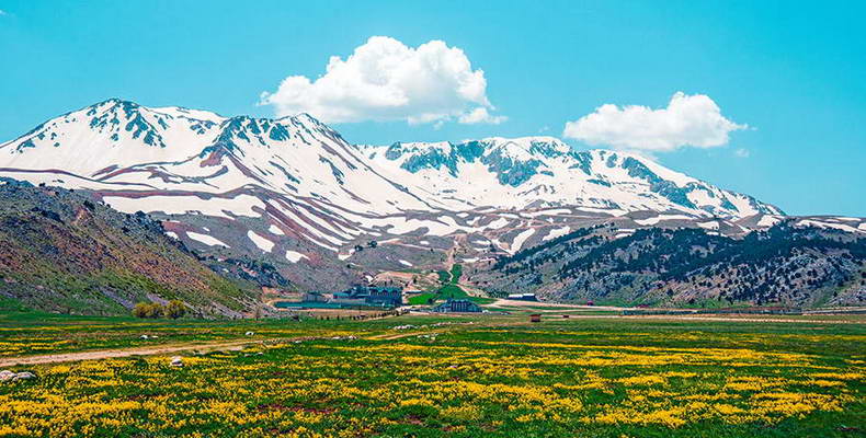 Hojatxonada hammaning koz ongida emizadi