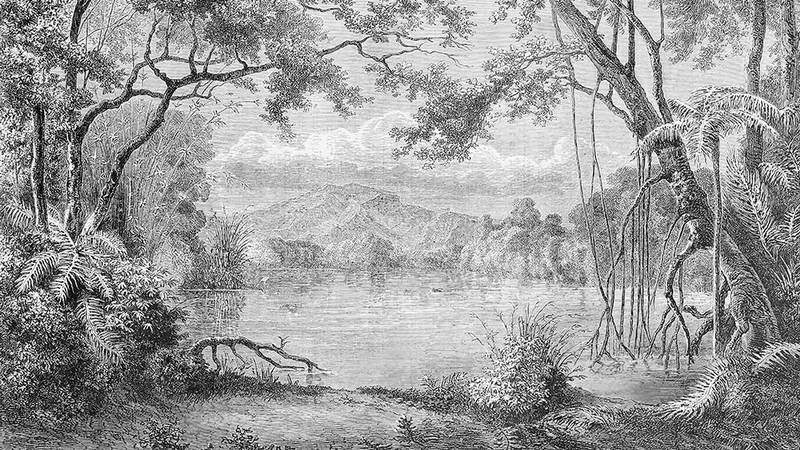 Türkülerimizde çokça işlenen temalardan biri de gönüldür. Halk Edebiyatıyla türkülerle