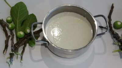 (İLYADA, Azra Erhat- A.Kadir, 1.b. s:166, 1967 baskısı, Sander Kitabevi)